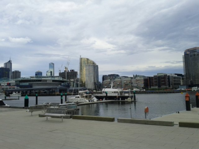 IMG_20130829_144937.jpg image