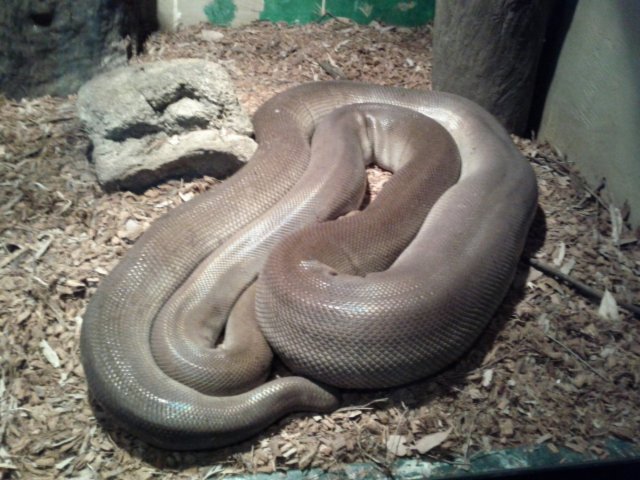 IMG_20130906_125513.jpg image