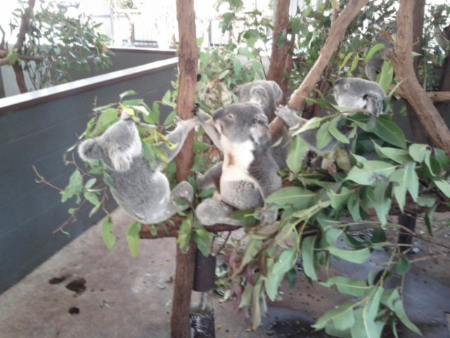 IMG_20130906_130149.jpg image