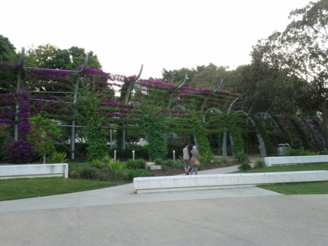 IMG_20130906_170845.jpg image