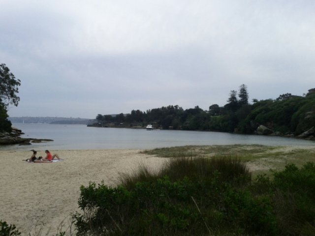 IMG_20130909_124258.jpg image