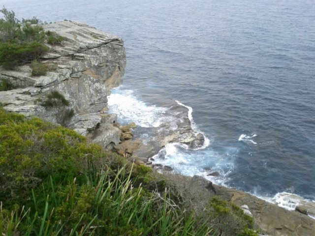 IMG_20130909_134138.jpg image